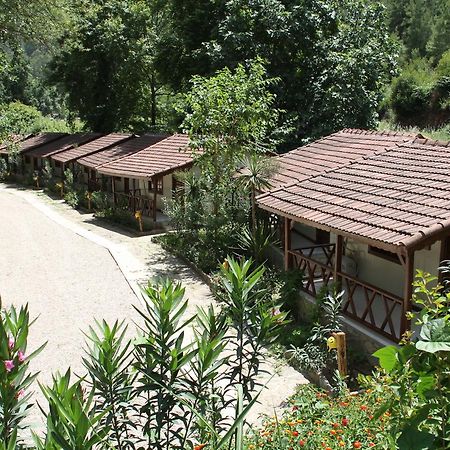 Отель Eco Family Park Beskonak Экстерьер фото