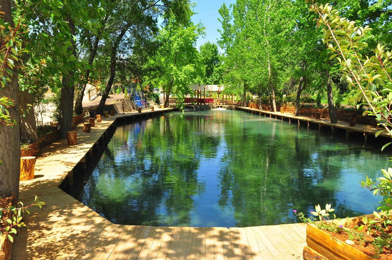 Отель Eco Family Park Beskonak Экстерьер фото
