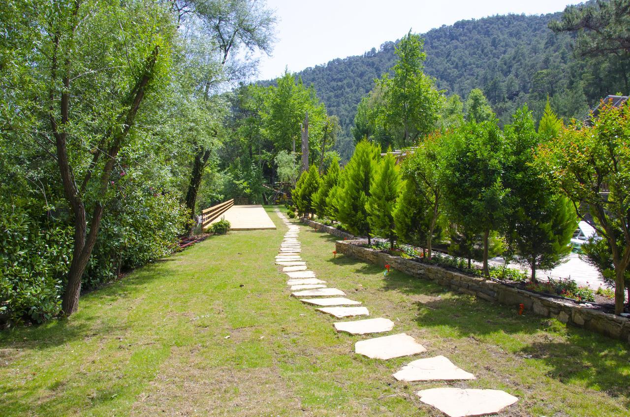 Отель Eco Family Park Beskonak Экстерьер фото