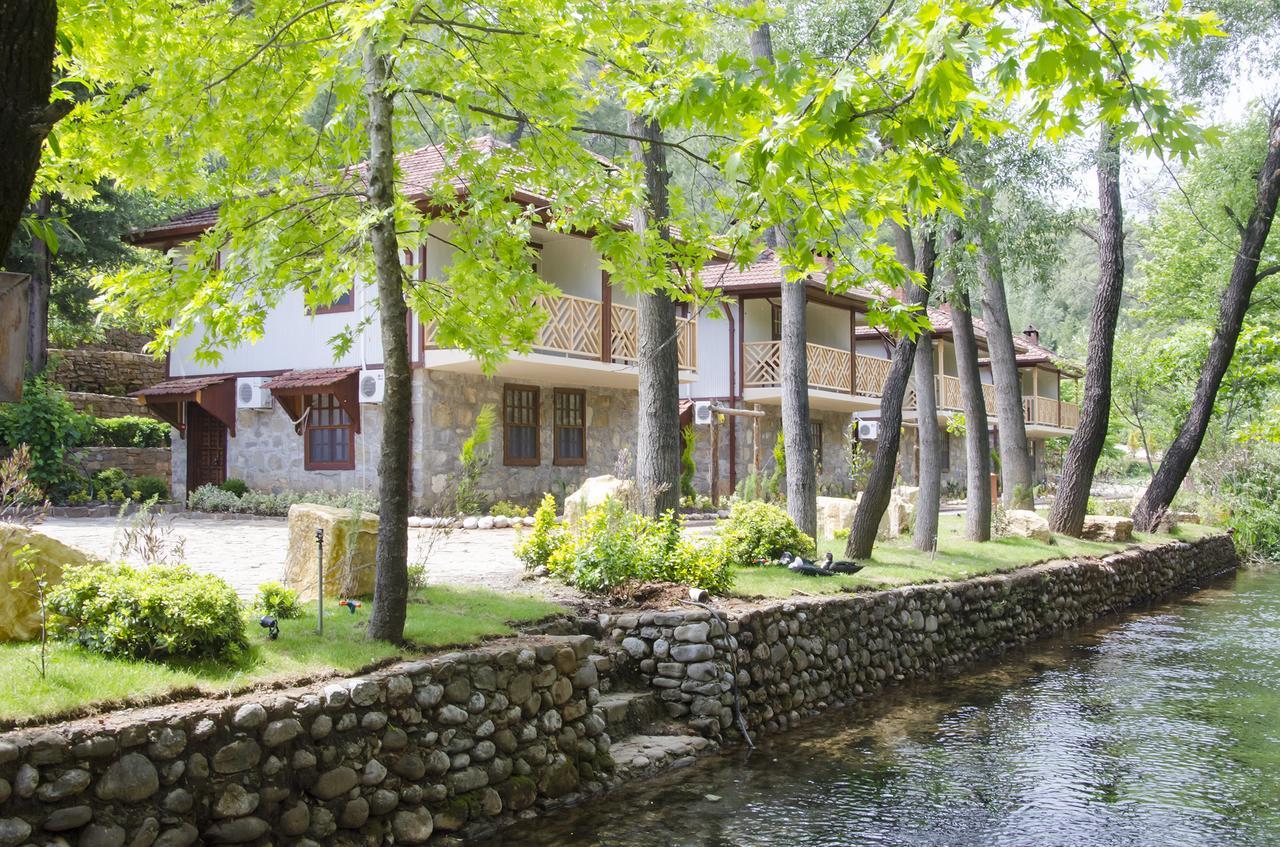 Отель Eco Family Park Beskonak Экстерьер фото